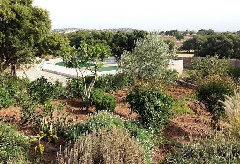 Fotos del hotel Riad Tigmin Eden:  6