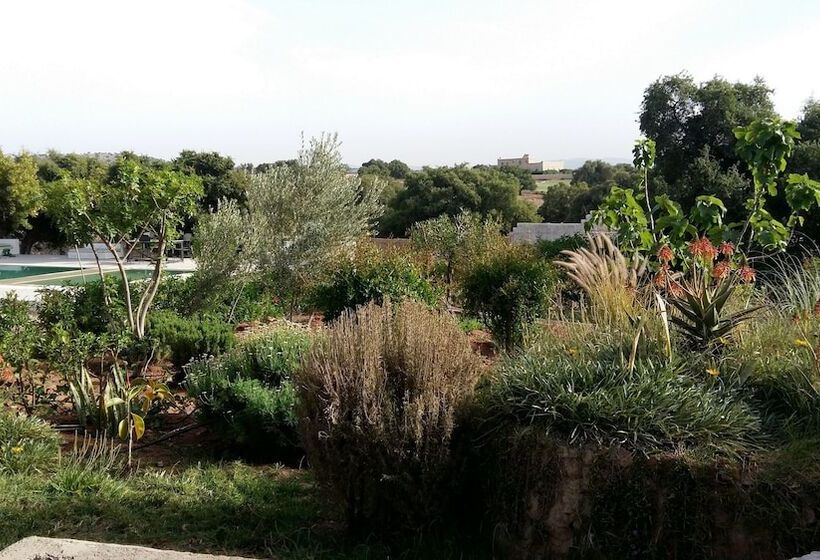 Fotos del hotel Riad Tigmin Eden:  7