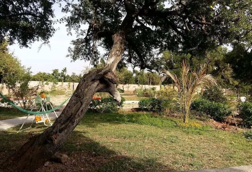 Fotos del hotel Riad Tigmin Eden:  8