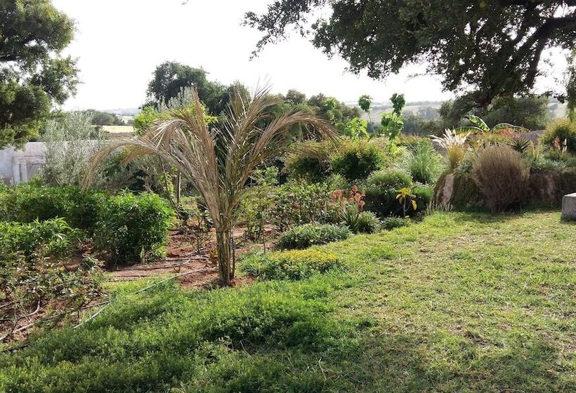 Fotos del hotel Riad Tigmin Eden:  9