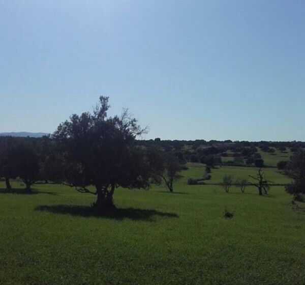 Fotos del hotel Riad Tigmin Eden:  11