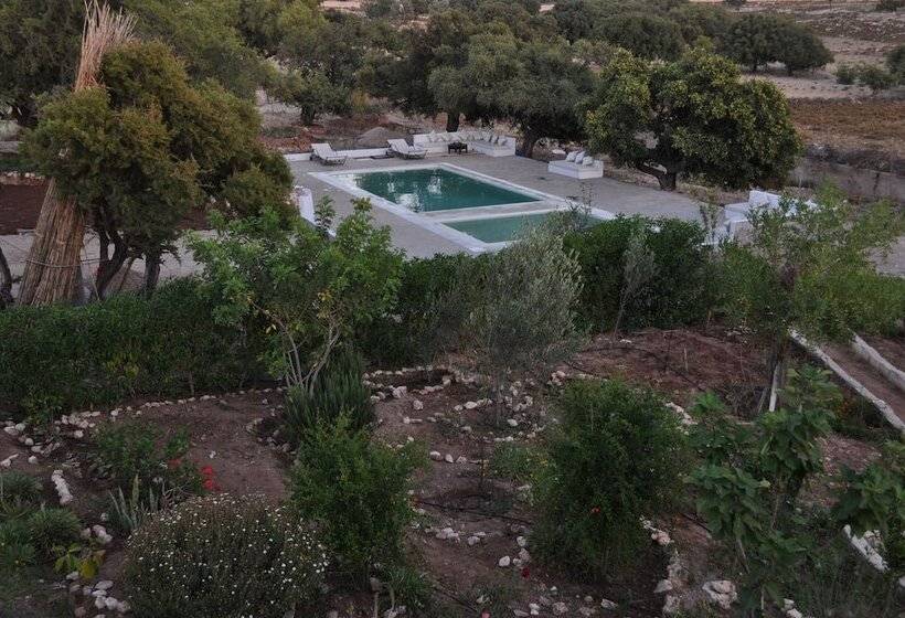 Fotos del hotel Riad Tigmin Eden:  17