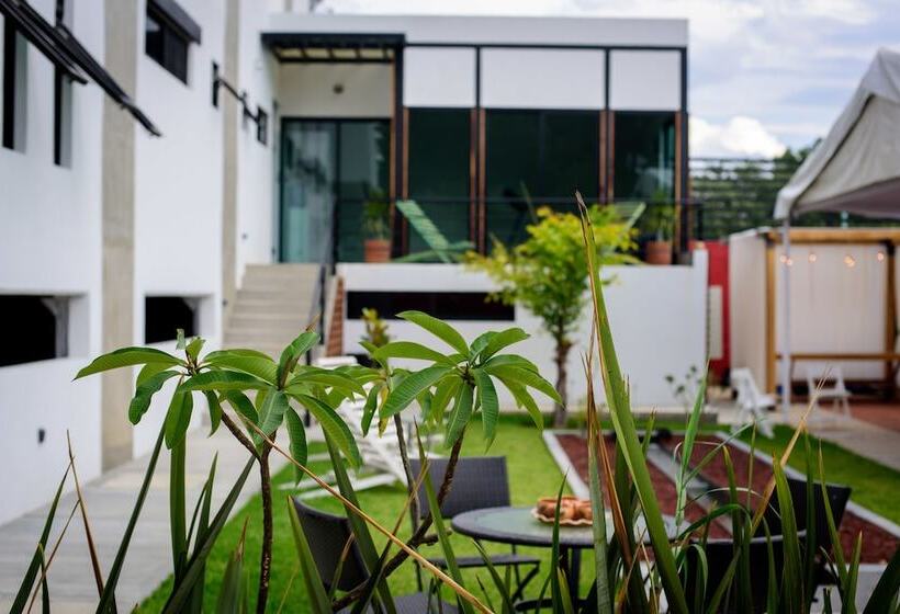 Fotos del hotel Maria Ines Hotel Suite:  10