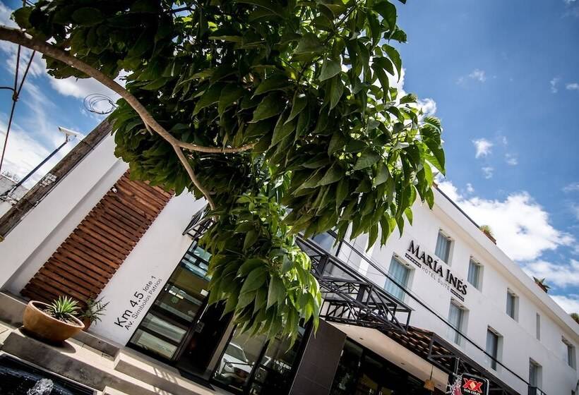 Fotos del hotel Maria Ines Hotel Suite:  12