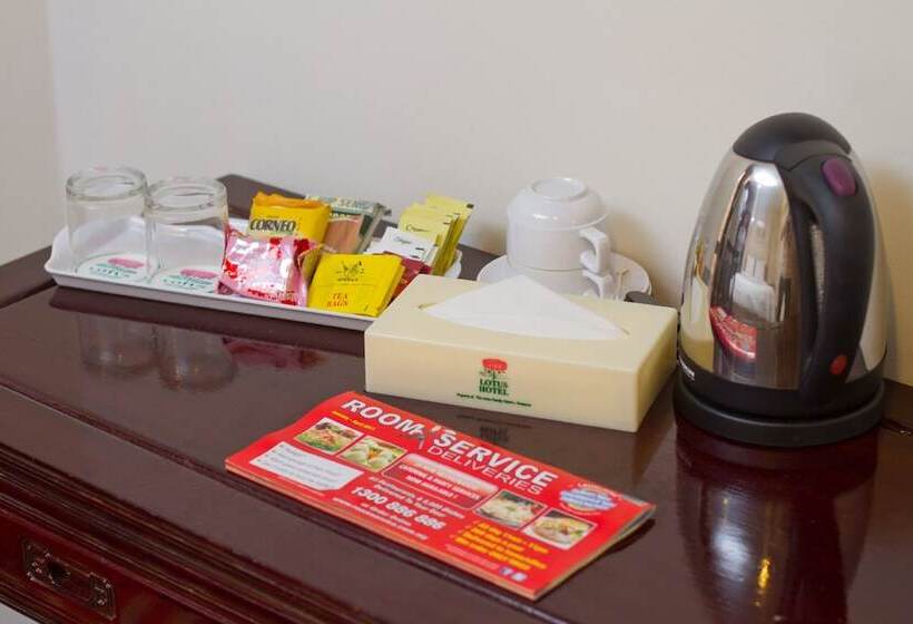 Fotos del hotel Lotus Family Hotel Medan Tuanku:  15