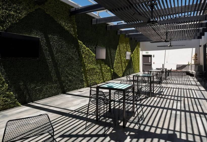 Fotos del hotel Courtyard By Marriott Ciudad Juarez:  17