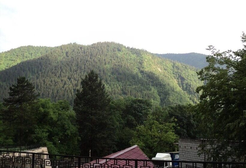 Fotos del hotel Ecorest - Likani Palace:  16