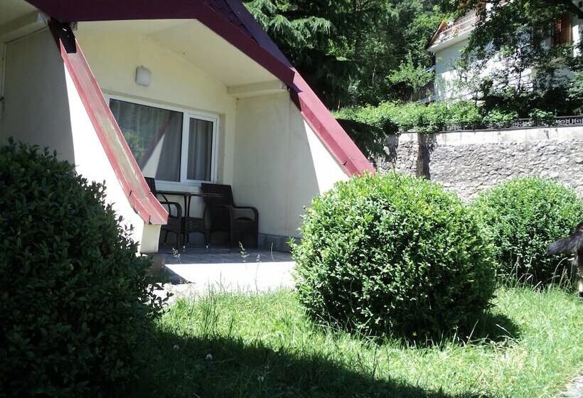 Fotos del hotel Ecorest - Likani Palace:  12