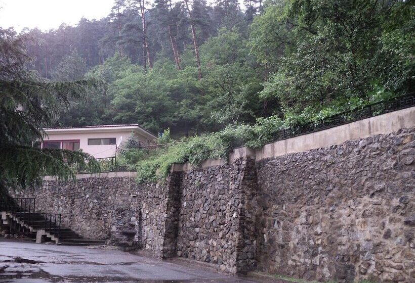 Fotos del hotel Ecorest - Likani Palace:  10