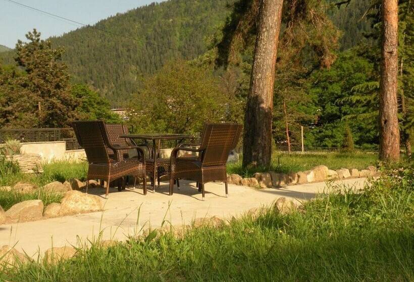 Fotos del hotel Ecorest - Likani Palace:  8