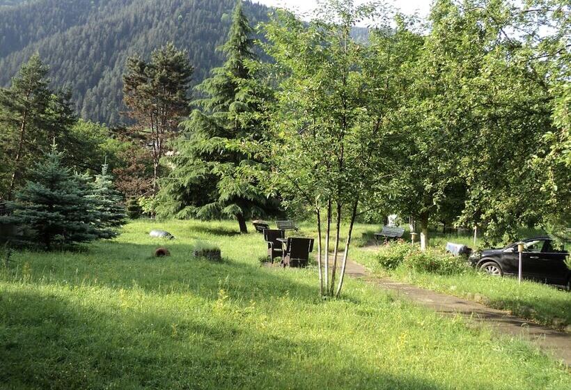 Fotos del hotel Ecorest - Likani Palace:  5