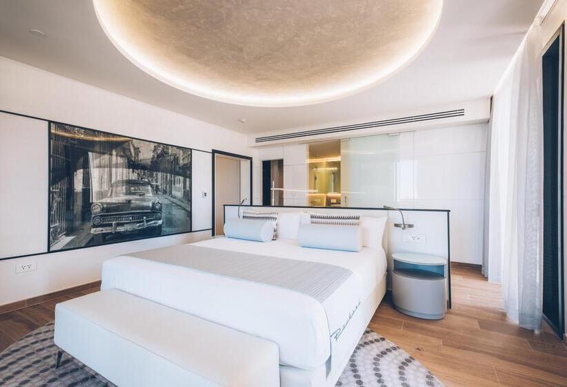 Fotos del hotel Iberostar Grand Packard:  2