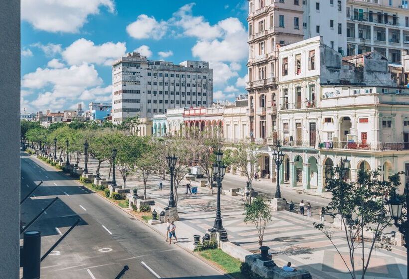 Fotos del hotel Iberostar Grand Packard:  8