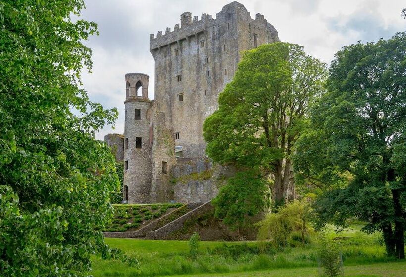 Fotos del hotel Maldron Hotel South Mall Cork City:  9