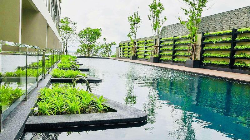 Fotos del hotel Golden Tulip Pattaya Beach Resort:  2