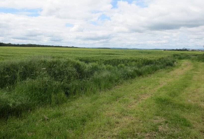 Fotos del hotel L Auberge Du Gros:  11