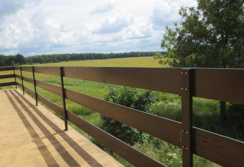 Fotos del hotel L Auberge Du Gros:  22