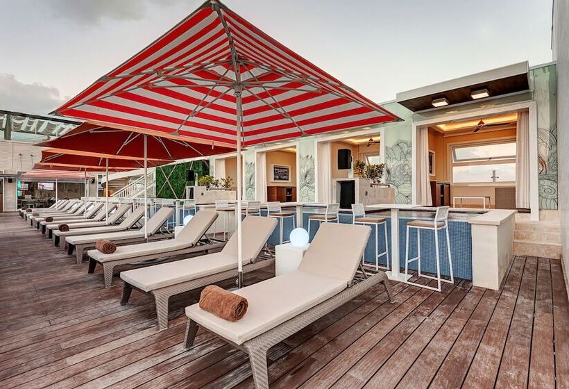 Fotos del hotel Royalton Chic Suites Cancun Resort & Spa Adults Only  All Inclusive:  23