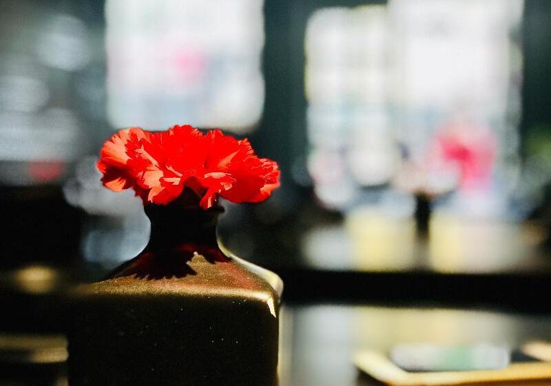 Fotos del hotel Lenid Hotel Tho Nhuom:  11