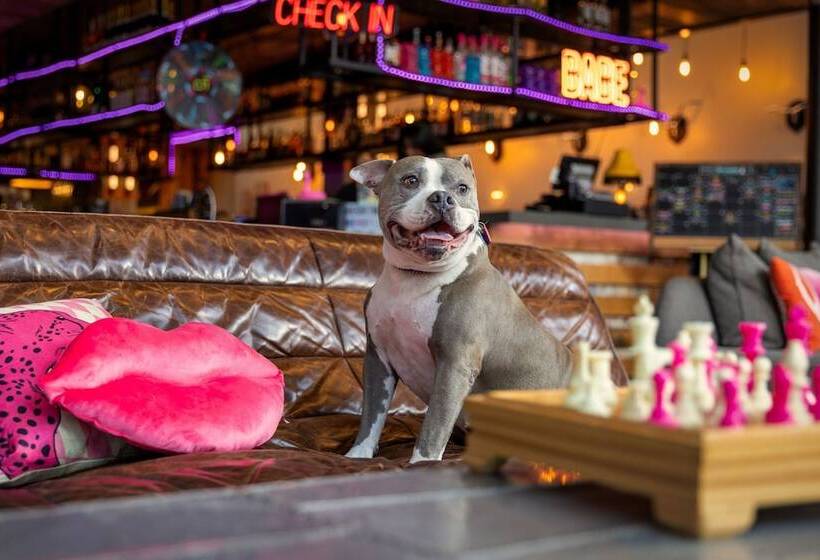 Fotos del hotel Moxy Washington Dc Downtown:  25