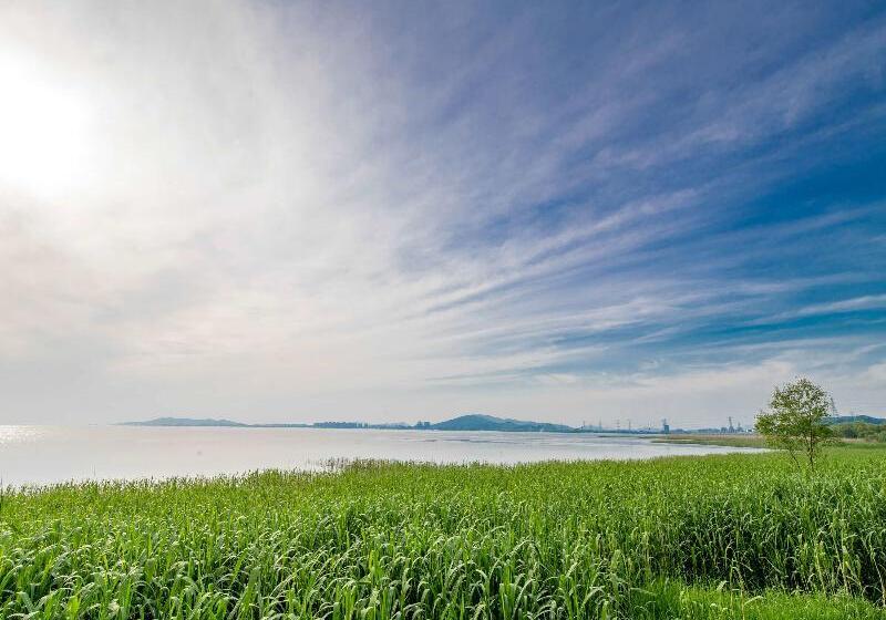 Fotos del hotel Novotel Suzhou Tai Lake Santeh:  21