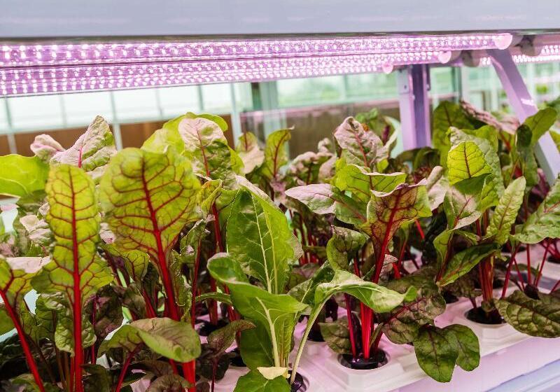 Fotos del hotel Novotel Suzhou Tai Lake Santeh:  20