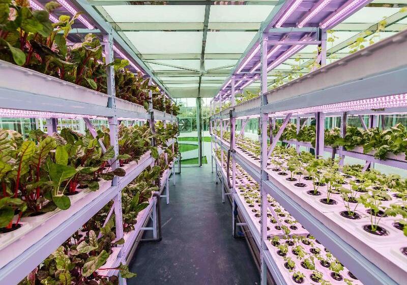 Fotos del hotel Novotel Suzhou Tai Lake Santeh:  19