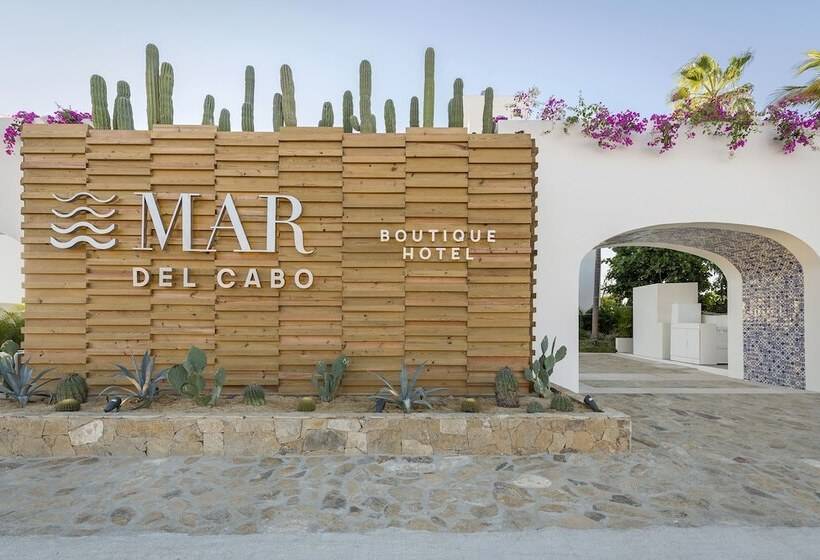 Fotos del hotel Mar Del Cabo By Velas Resorts:  11