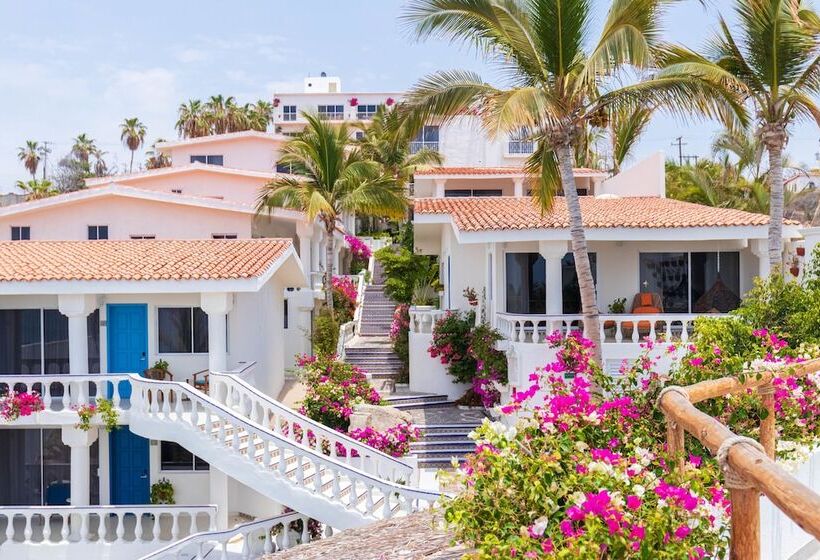 Fotos del hotel Mar Del Cabo By Velas Resorts:  14