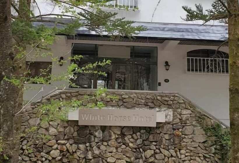Fotos del hotel White Horse:  9