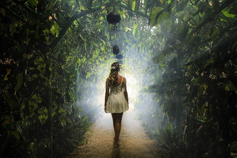 Fotos del hotel Xolumado Inspiration Village By Karisma:  16