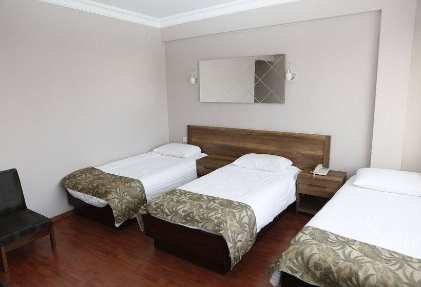 Fotos del hotel Yeni:  8