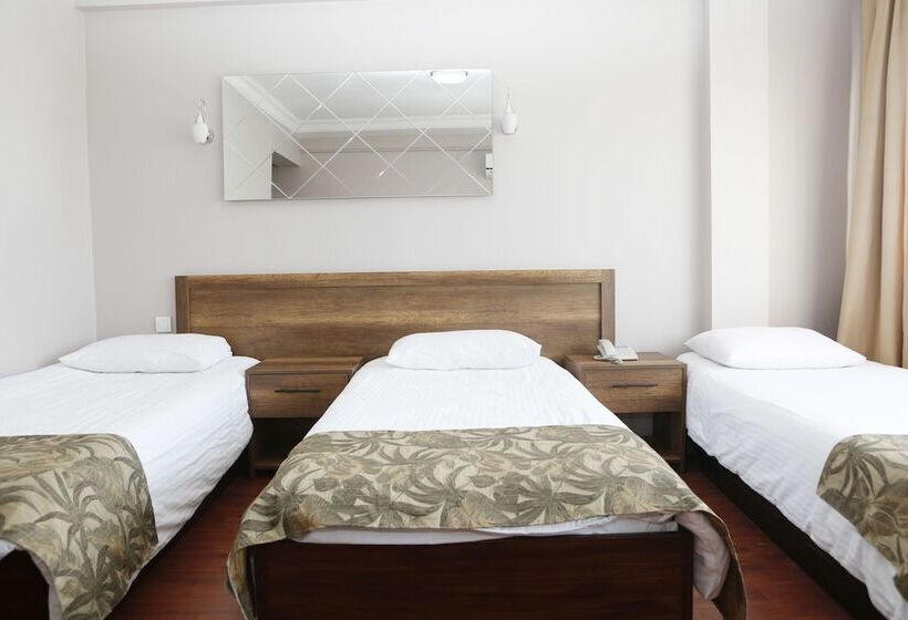 Fotos del hotel Yeni:  5