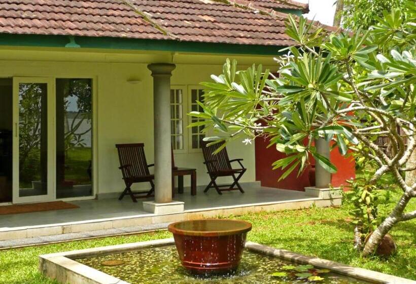 Fotos del hotel Olam:  7