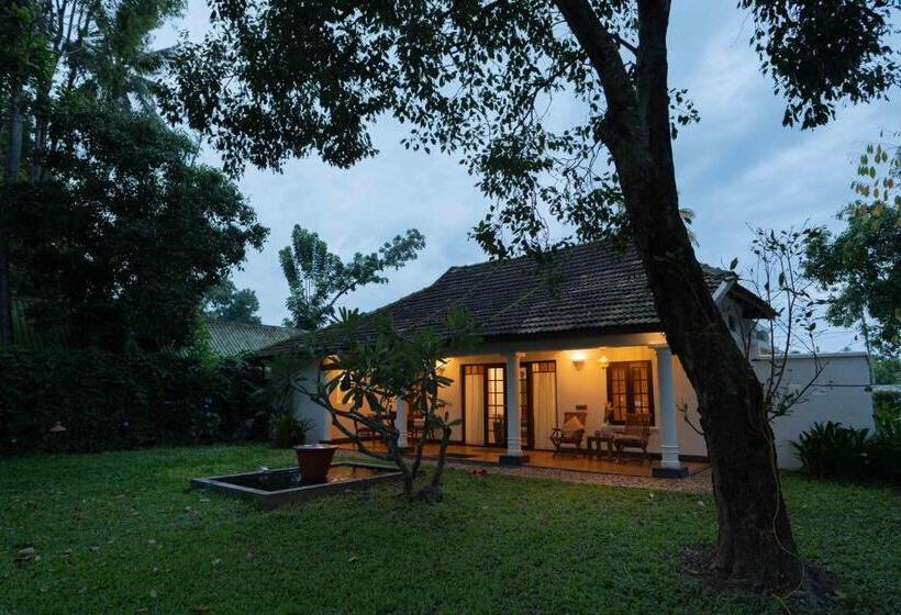 Fotos del hotel Olam:  14