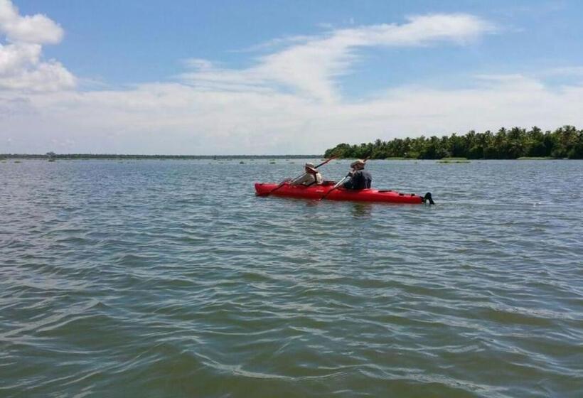 Fotos del hotel Olam:  16