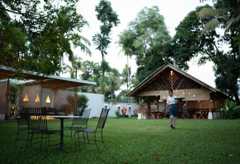 Fotos del hotel Olam:  24