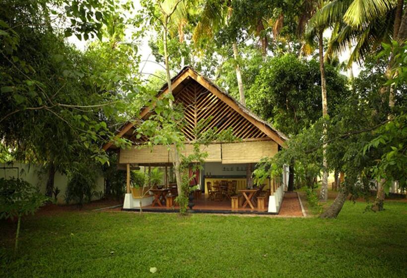 Fotos del hotel Olam:  13