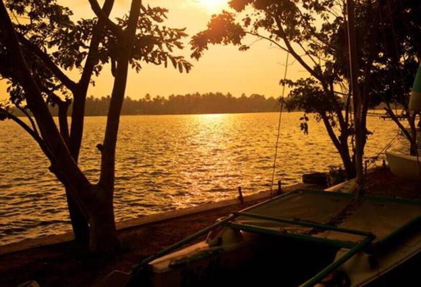 Fotos del hotel Olam:  12