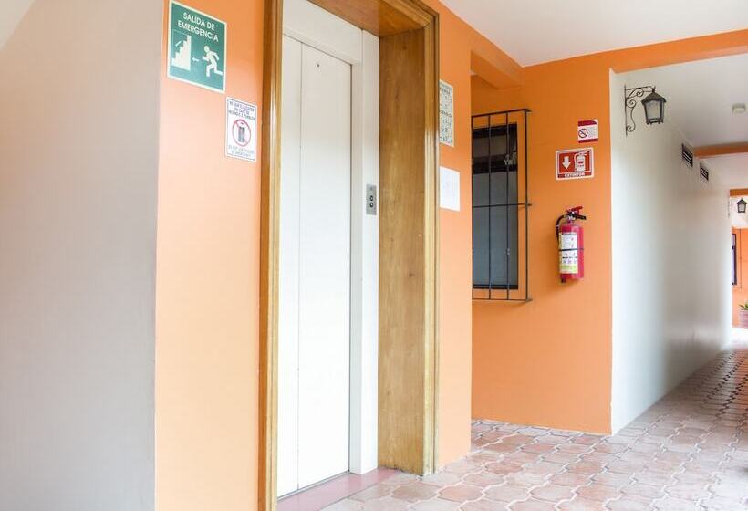 Fotos del hotel Museo:  22