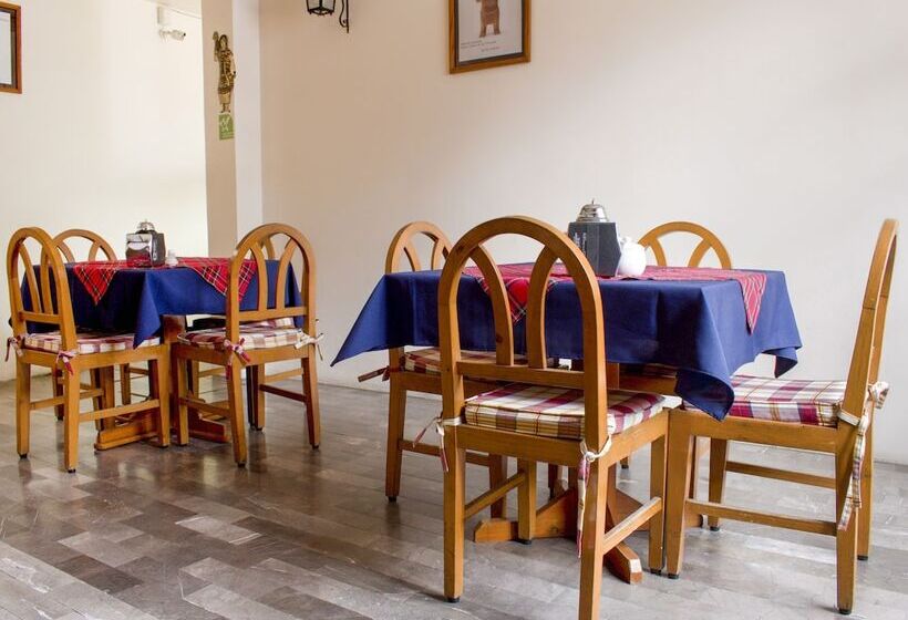 Fotos del hotel Museo:  16