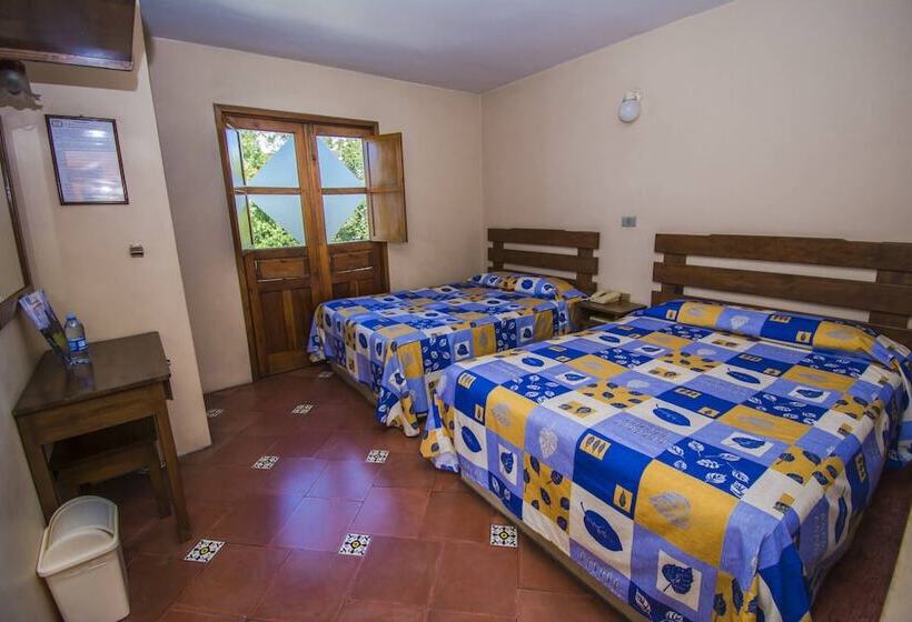 Fotos del hotel Museo:  6