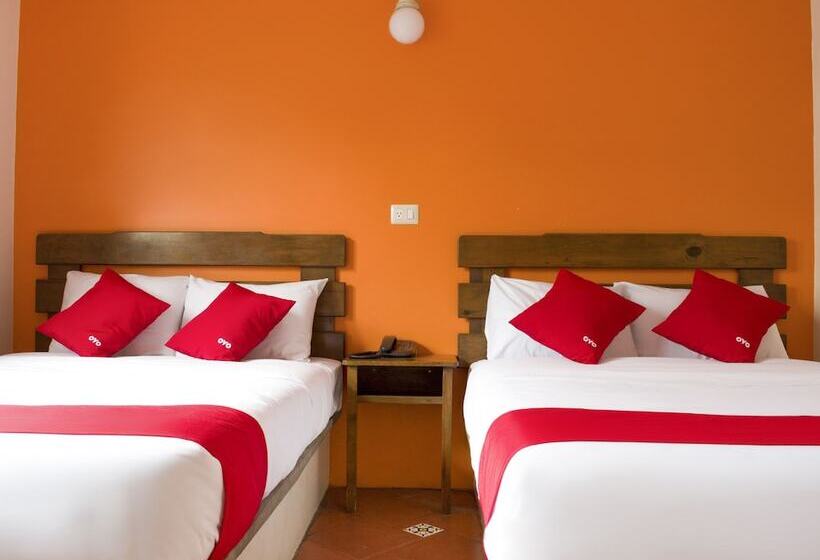 Fotos del hotel Museo:  5