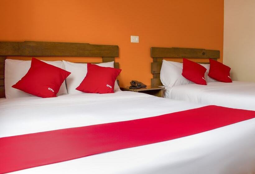 Fotos del hotel Museo:  4