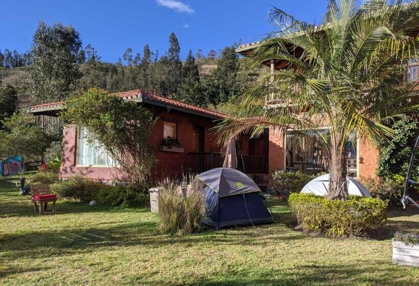 Fotos del hotel Ilatoa Lodge:  20