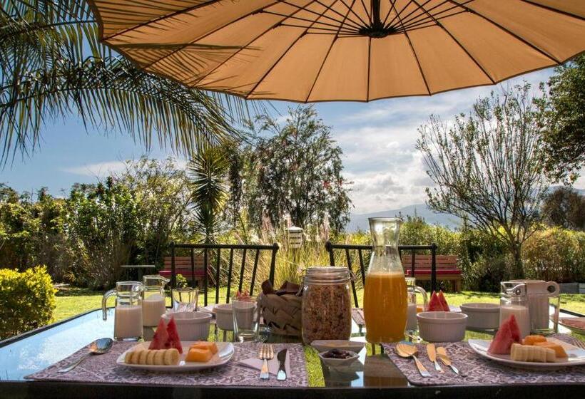 Fotos del hotel Ilatoa Lodge:  22