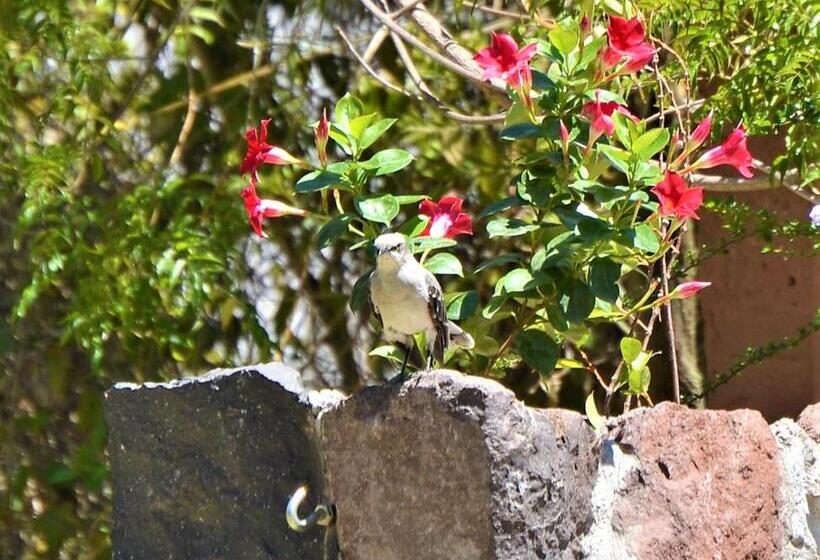 Fotos del hotel Ilatoa Lodge:  6