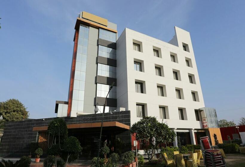 Fotos del hotel Oyo 11973 Badri Palace:  19