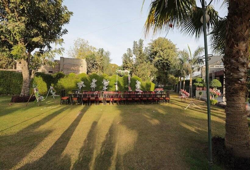 Fotos del hotel Oyo 11973 Badri Palace:  4