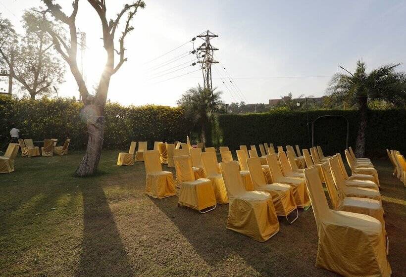 Fotos del hotel Oyo 11973 Badri Palace:  5